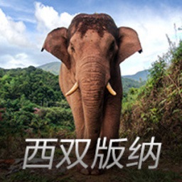 人生赢家！赵丽颖给儿子狂买礼物尽显母爱，搭想想肩膀温馨幸福